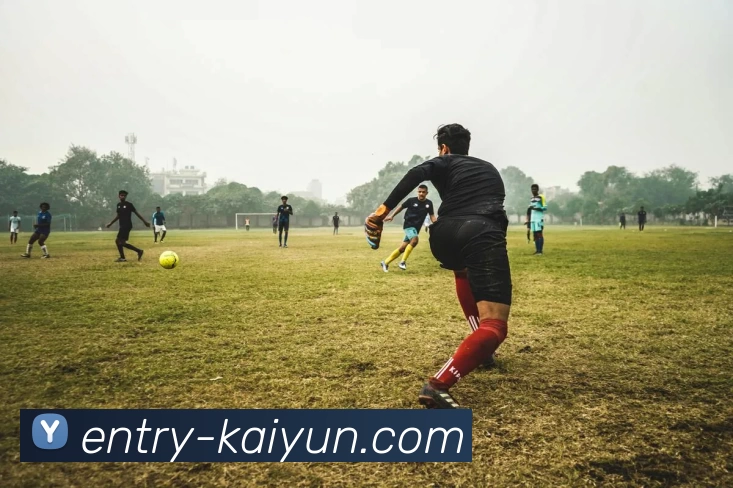 开云体育服务体系