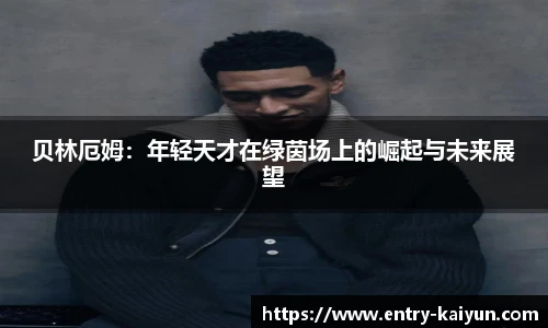 开云app